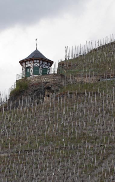 Weingut & Gaestehaus Schmitz-Bergweiler Bernkastel-Kues Bagian luar foto