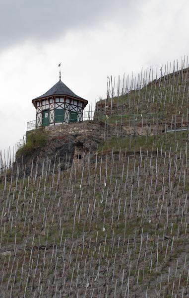 Weingut & Gaestehaus Schmitz-Bergweiler Bernkastel-Kues Bagian luar foto